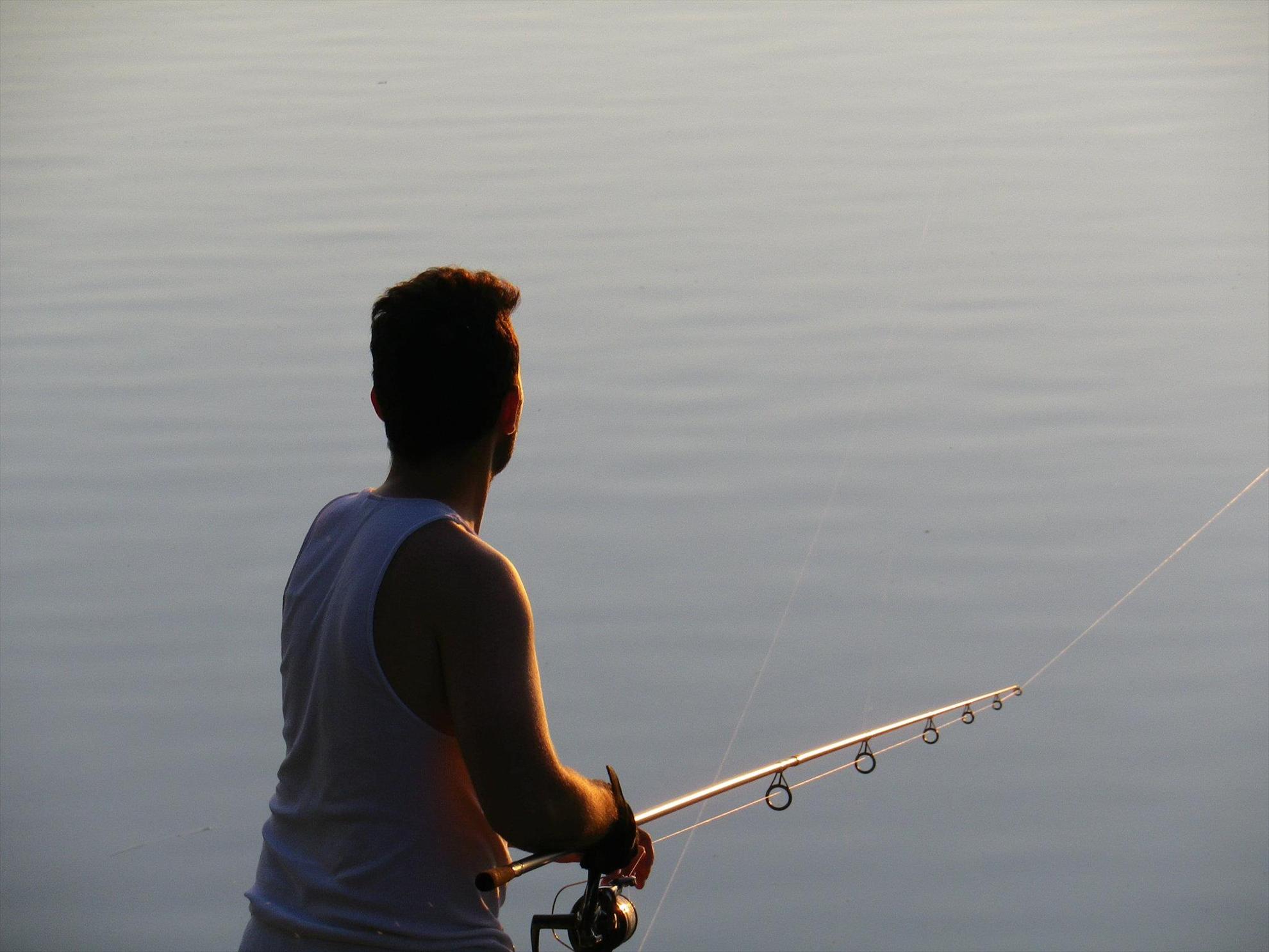 fsh - 177838462813457081212672616664o.jpg